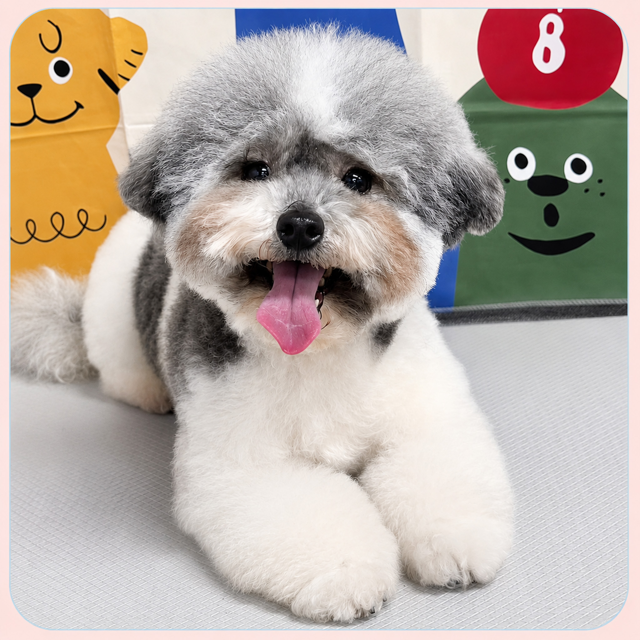 Small dog at the Paw World café