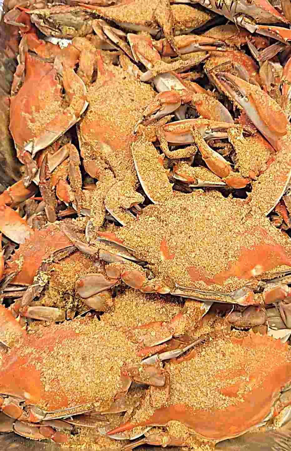 Steamed jimmy #1 blue crabs (dozen)