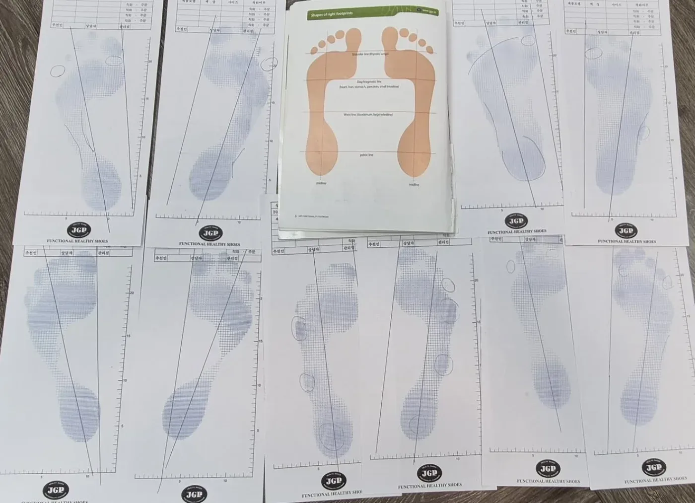 Footprint sheets taken at JGP USA in Tucson, each one different