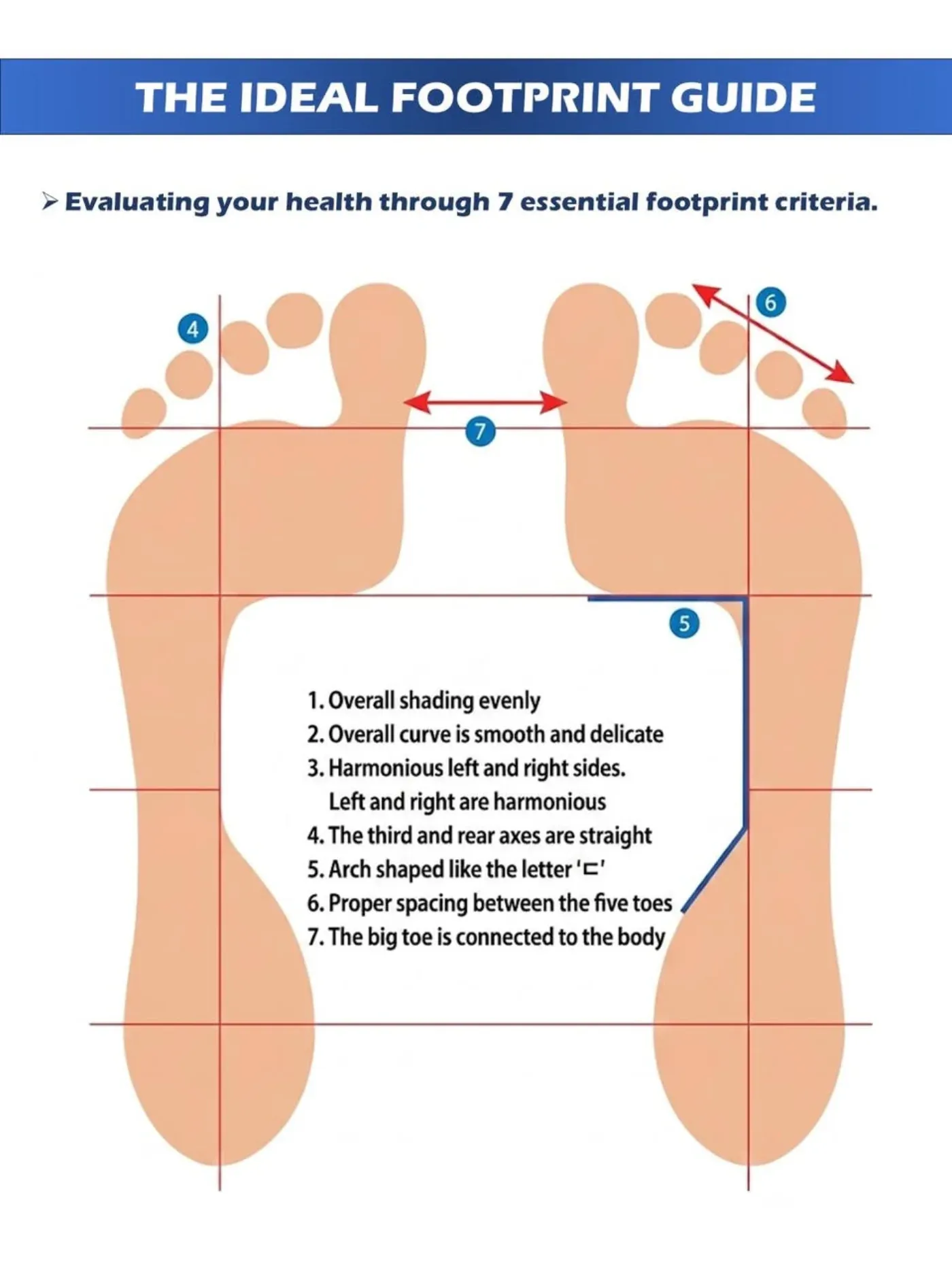 The ideal footprint guide: seven criteria for a balanced footprint